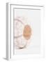 So Pure Collection - White Sea Urchin shell II-Philippe Hugonnard-Framed Photographic Print