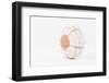 So Pure Collection - White Sea Urchin shell-Philippe Hugonnard-Framed Photographic Print