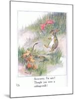 So-So-Sorry, I'M Sure! Thought You Were a Cabbage Stalk-Anne Anderson-Mounted Giclee Print