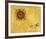 So Sunny, c. 1958-Andy Warhol-Framed Giclee Print