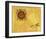 So Sunny, c. 1958-Andy Warhol-Framed Art Print