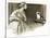 So That's Why, Looty Was a Pekingese-John Millar Watt-Stretched Canvas