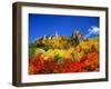 So-Unkyo-null-Framed Photographic Print