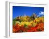 So-Unkyo-null-Framed Photographic Print