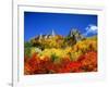 So-Unkyo-null-Framed Photographic Print