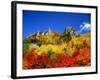 So-Unkyo-null-Framed Photographic Print