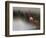 So Zen-Anna Cseresnjes-Framed Photographic Print