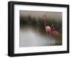 So Zen-Anna Cseresnjes-Framed Photographic Print