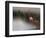 So Zen-Anna Cseresnjes-Framed Photographic Print