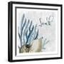 Soak 1-Kimberly Allen-Framed Art Print