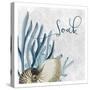 Soak 1-Kimberly Allen-Stretched Canvas