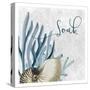 Soak 1-Kimberly Allen-Stretched Canvas