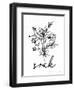 Soak Flowers-lettered & lined-Framed Art Print