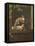Soap Bubbles, C. 1733- 34-Jean-Baptiste Simeon Chardin-Framed Stretched Canvas