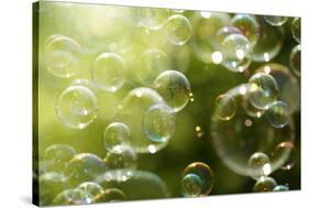 Soap Bubbles Floating in the Air as the Summer Sun Sets-Flynt-Stretched Canvas