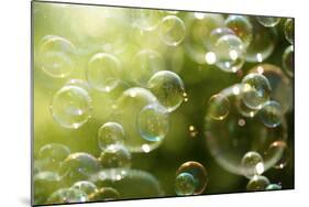 Soap Bubbles Floating in the Air as the Summer Sun Sets-Flynt-Mounted Photographic Print