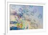 Soap bubbles. Place Bellecour. Lyon, France.-Tom Norring-Framed Photographic Print