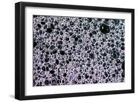 Soap Bubbles-Gordon Semmens-Framed Photographic Print