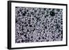 Soap Bubbles-Gordon Semmens-Framed Photographic Print