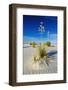 Soaptree Yucca and Dunes, White Sands National Monument, New Mexico-Russ Bishop-Framed Photographic Print