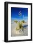 Soaptree Yucca and Dunes, White Sands National Monument, New Mexico-Russ Bishop-Framed Photographic Print