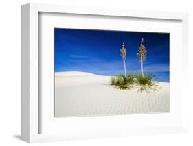 Soaptree Yucca and Dunes, White Sands National Monument, New Mexico-Russ Bishop-Framed Photographic Print