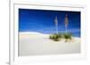 Soaptree Yucca and Dunes, White Sands National Monument, New Mexico-Russ Bishop-Framed Photographic Print