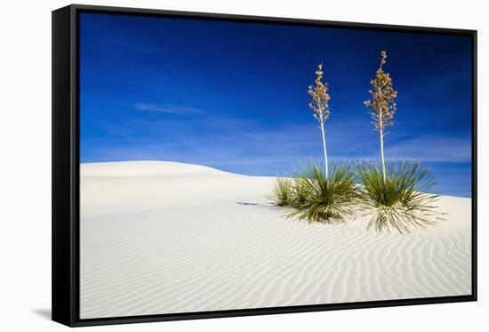 Soaptree Yucca and Dunes, White Sands National Monument, New Mexico-Russ Bishop-Framed Stretched Canvas