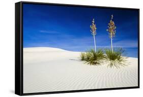 Soaptree Yucca and Dunes, White Sands National Monument, New Mexico-Russ Bishop-Framed Stretched Canvas