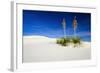 Soaptree Yucca and Dunes, White Sands National Monument, New Mexico-Russ Bishop-Framed Photographic Print