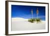 Soaptree Yucca and Dunes, White Sands National Monument, New Mexico-Russ Bishop-Framed Photographic Print