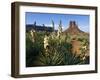 Soapweed Yucca. Monument Valley Navajo Tribal Park, Arizona, Usa 2007-Philippe Clement-Framed Photographic Print