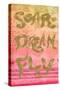 Soar Dream Fly-Elizabeth Medley-Stretched Canvas