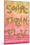 Soar Dream Fly-Elizabeth Medley-Mounted Art Print
