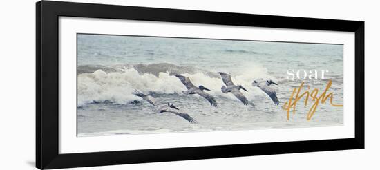 Soar High-Bruce Nawrocke-Framed Photographic Print