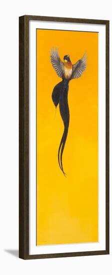 Soar;Yellow-Tim Hayward-Framed Premium Giclee Print