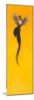 Soar;Yellow-Tim Hayward-Mounted Premium Giclee Print