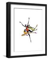 Soar-Shan Kelly-Framed Art Print