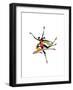 Soar-Shan Kelly-Framed Art Print