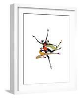 Soar-Shan Kelly-Framed Art Print