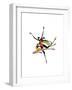 Soar-Shan Kelly-Framed Art Print