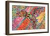 Soar-Josh Byer-Framed Giclee Print