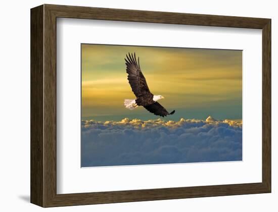 Soarin'-null-Framed Art Print