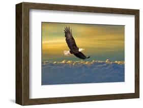 Soarin'-null-Framed Art Print