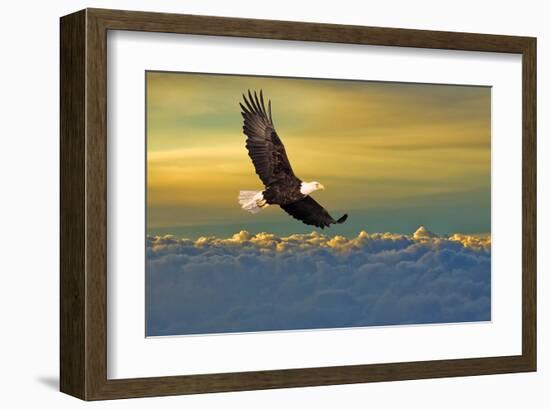 Soarin'-null-Framed Art Print