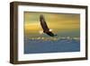 Soarin'-null-Framed Art Print