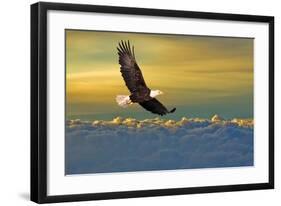 Soarin'-null-Framed Art Print