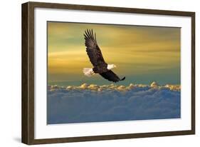 Soarin'-null-Framed Art Print