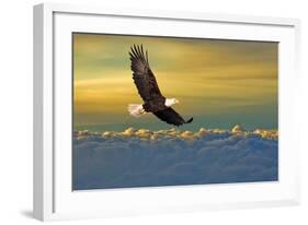 Soarin'-null-Framed Art Print