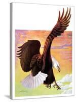 "Soaring Bald Eagle,"October 28, 1933-Jack Murray-Stretched Canvas